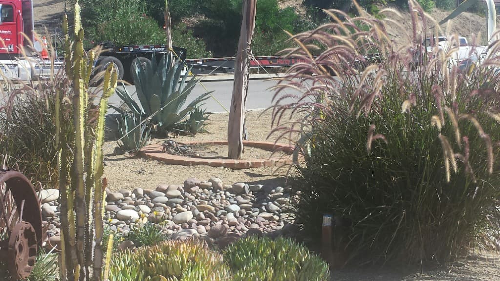 Bird exclusion for roof AC units