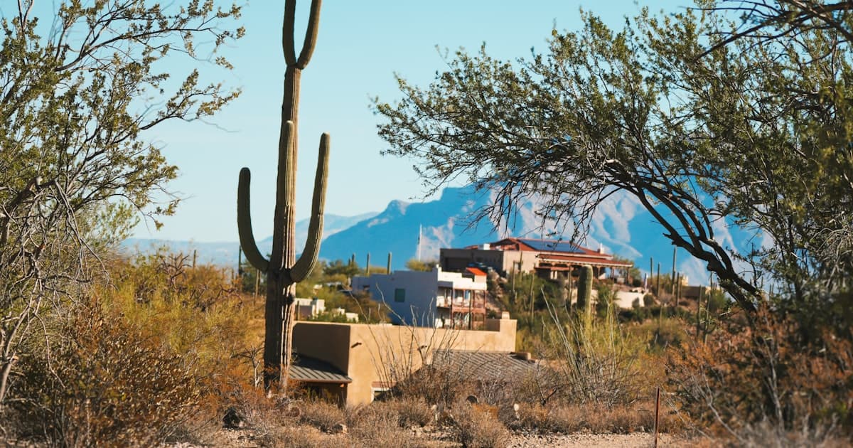 How to Scorpion-Proof Your Arizona Home: 4 Essential Steps