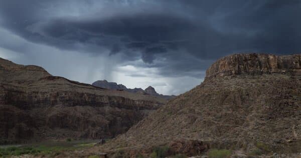 Arizona Monsoon Season Pest Control: Your Essential Guide