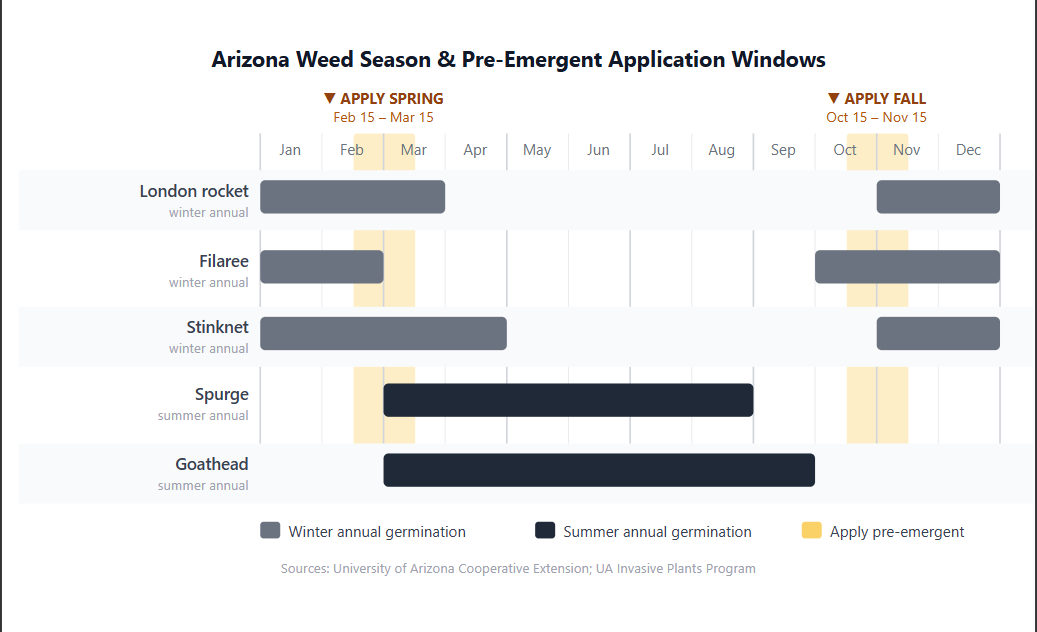 Arizona Weed Season & Pre-Emergent Application Windows