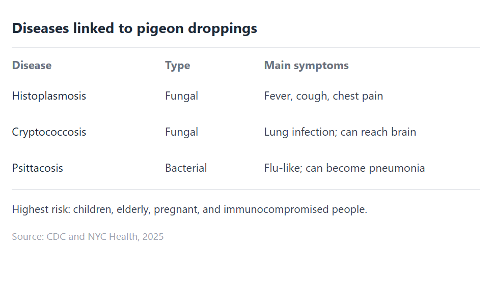 chart showing diseases linked to pigeon droppings