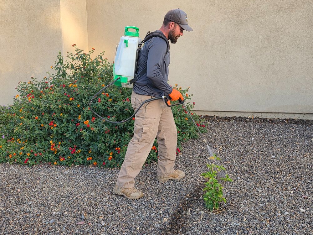Patrick's home solutions completing pest control