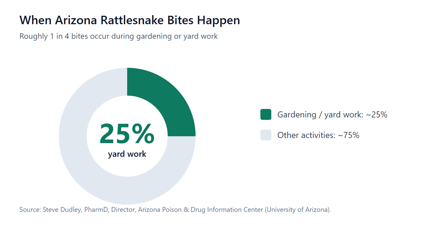 Roughly 1 in 4 Arizona rattlesnake bites happen during gardening or yard work.