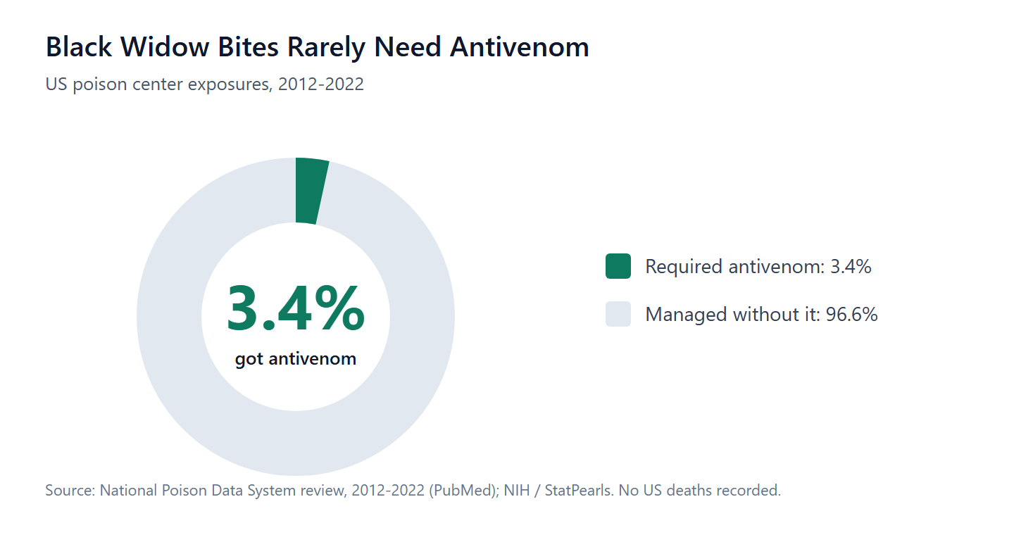 Only 3.4% of US black widow exposures required antivenom (2012-2022); no deaths were recorded.