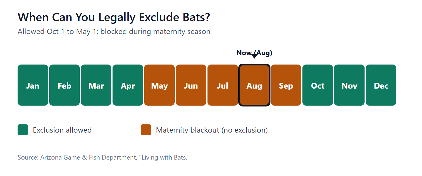 Arizona bat exclusion is legal only October 1 to May 1; May to September is a maternity-season blackout.