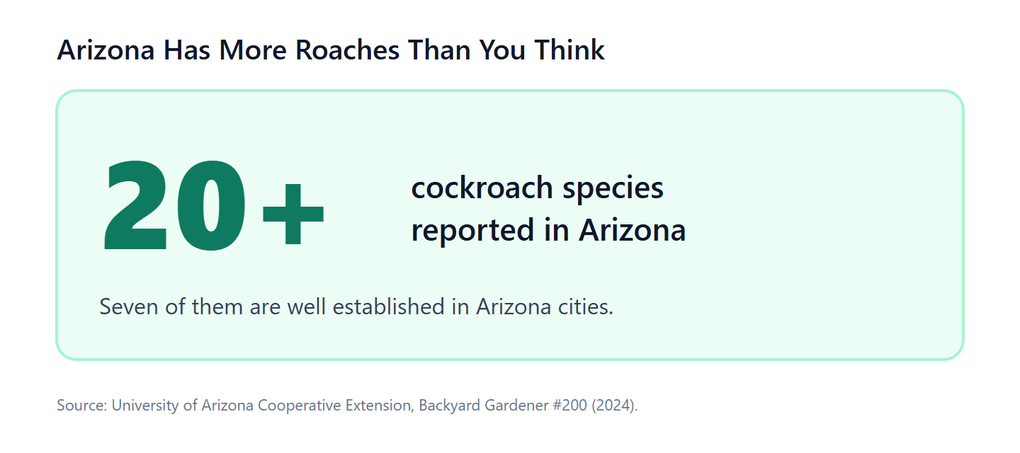 At least 20 cockroach species are reported in Arizona; seven are established in cities.