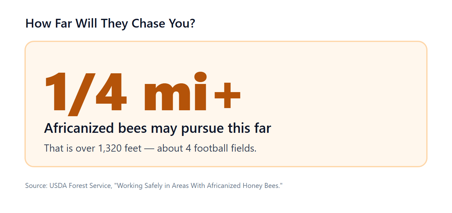 image showing how far bees will chase you