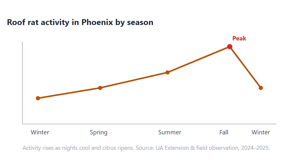 chart showing roof rat activity by season