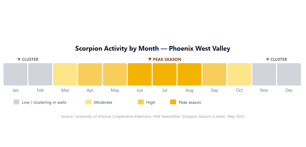 scorpion activity by month phoenix