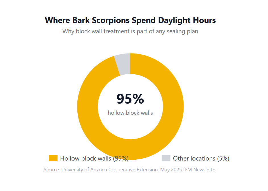 where bark scorpions are during the day
