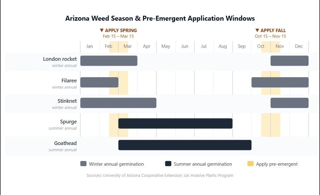 Arizona Weed Season & Pre-Emergent Application Windows