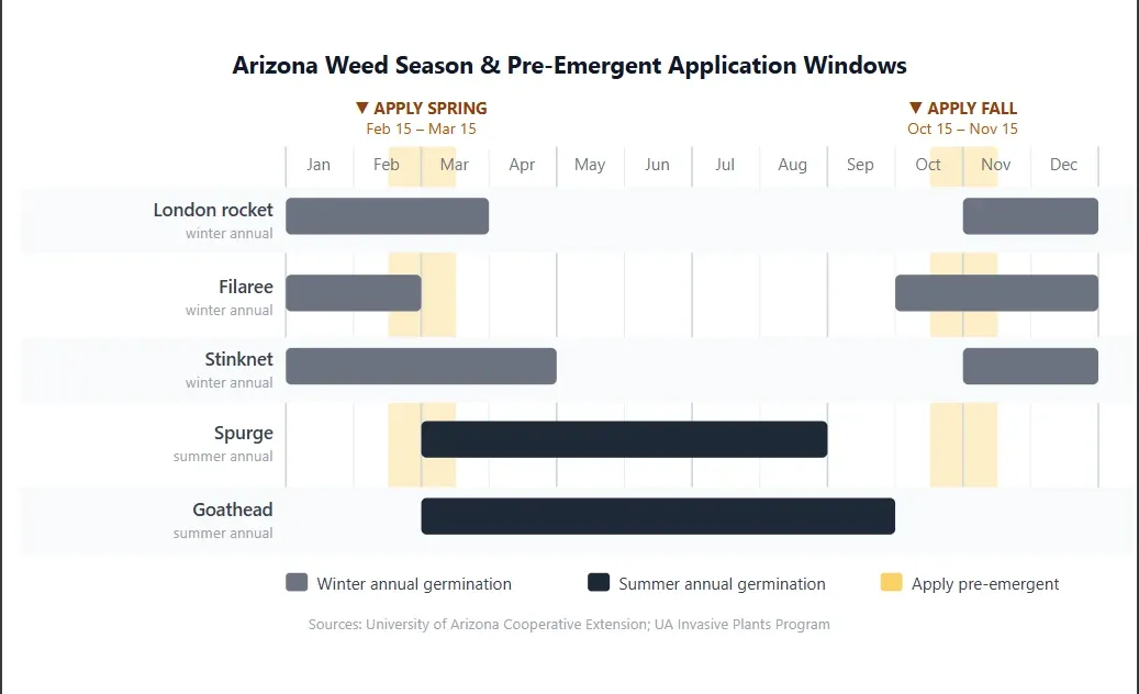 Arizona Weed Season & Pre-Emergent Application Windows