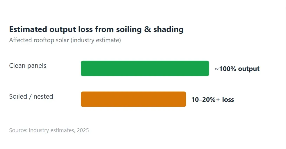 solar proofing