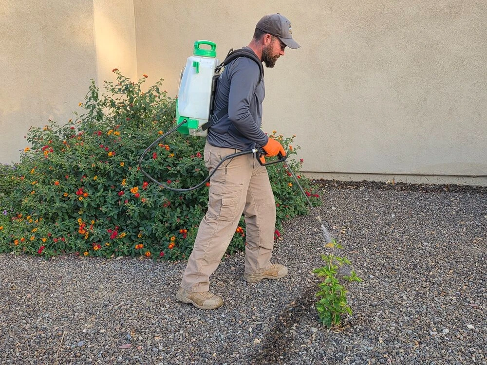 Patrick's home solutions completing pest control
