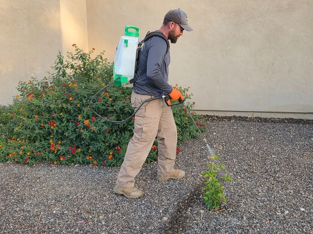 Patrick's home solutions completing pest control