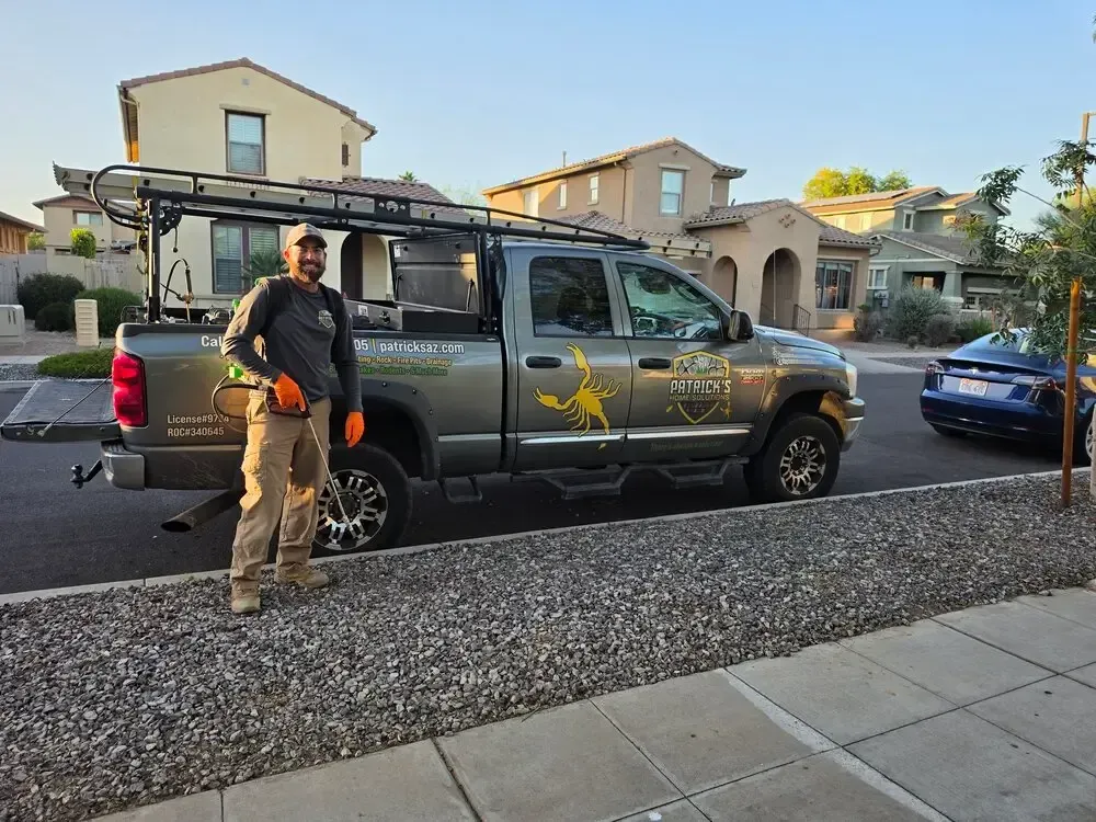 patrick's home solution pest control
