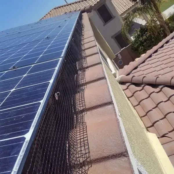 solar panel screened to prevent pigeons nesting
