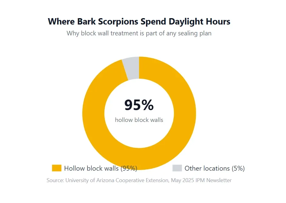 where bark scorpions are during the day